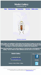 Mobile Screenshot of medicigallery.co.uk